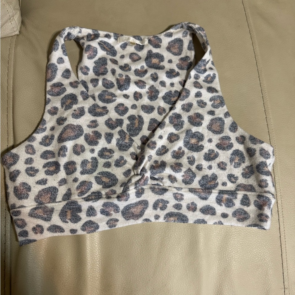Z Supply Brown and Black Crop Top